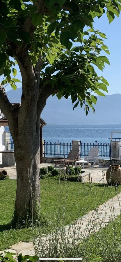 Private Luxury Villa My Beach House 隆戈斯 外观 照片